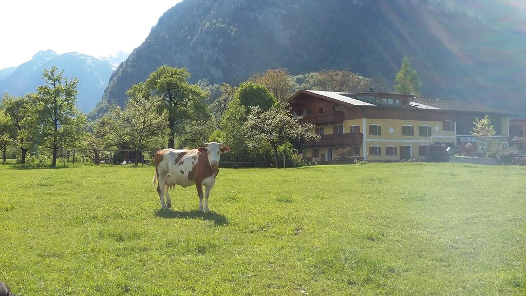 Ferienwohnung Starbauer Golling an der Salzach Exterior foto